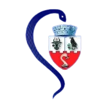 Liceul Teoretic Sanitar Bistrița